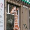 Giraffe für "Die Zauberflöte"