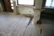 gallery/vorher_holzfuboden.jpg